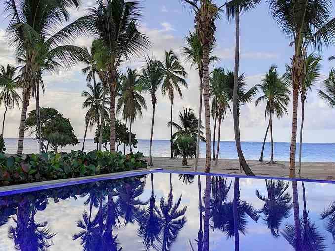 Interview - Serenade Punta Cana