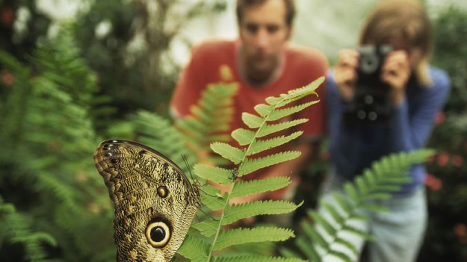 Eco Tourism All Inclusive Eco Tourism