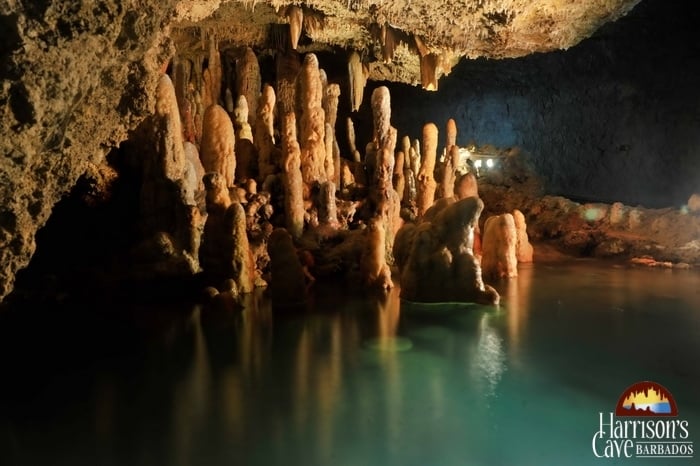 Harrisons Cave Barbados