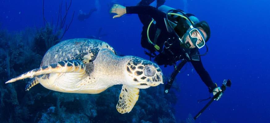 Wyndham Reef Grand Cayman - one of our Best All Inclusive Dive Resorts