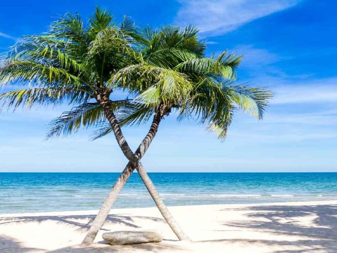 COVID Testing for the Caribbean