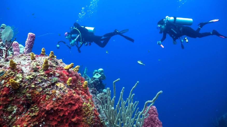 Anthonys Key - one of our Best All Inclusive Dive Resorts