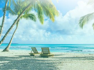 Serenade Punta Cana Opening June 2020