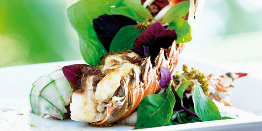 Best All Inclusive Wellness Resorts