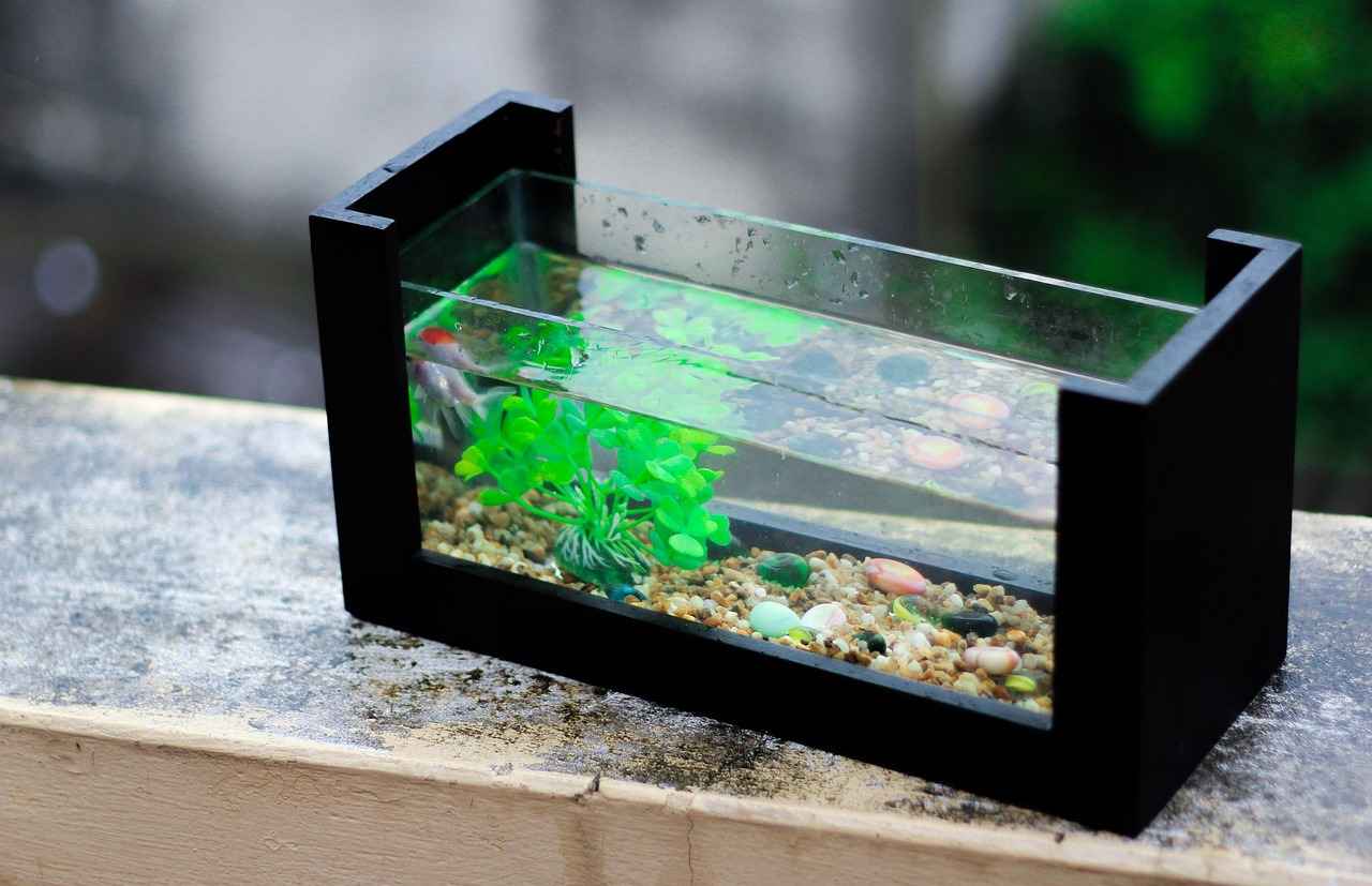 aquarium plexiglas
