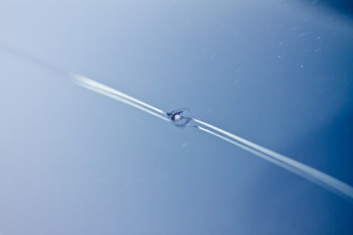 Crack in a windshield