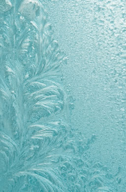 flower pattern before applying de-icer
