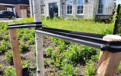 Milieuvriendelijke BioBoomStrap voor bovengrondse verankering van jonge aanplant