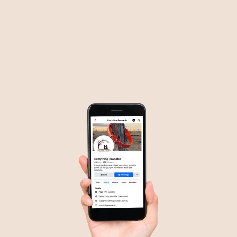 Social Media Setup