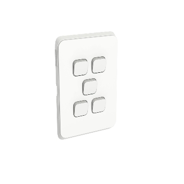 Light switch iconic white 5 gang plate and mechs supply and replace