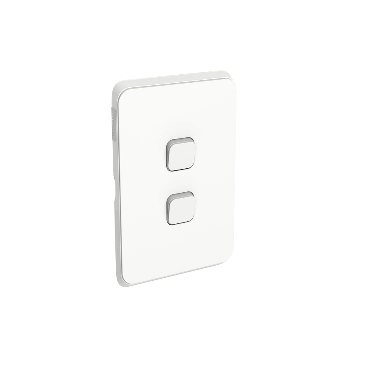 Light switch iconic white 2 gang plate and mechs supply and replace