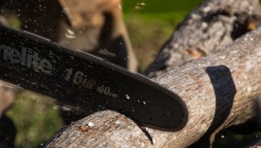 L’élagage et l’esthétique de votre jardin