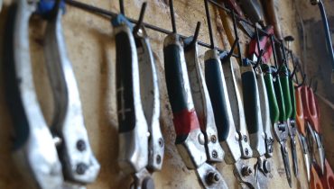 Choisir entre une perche d’élagage manuelle et motorisée