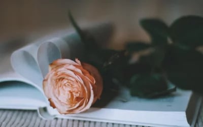 St Valentin au Château de Salettes 2026