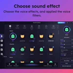EaseUS VoiceWave