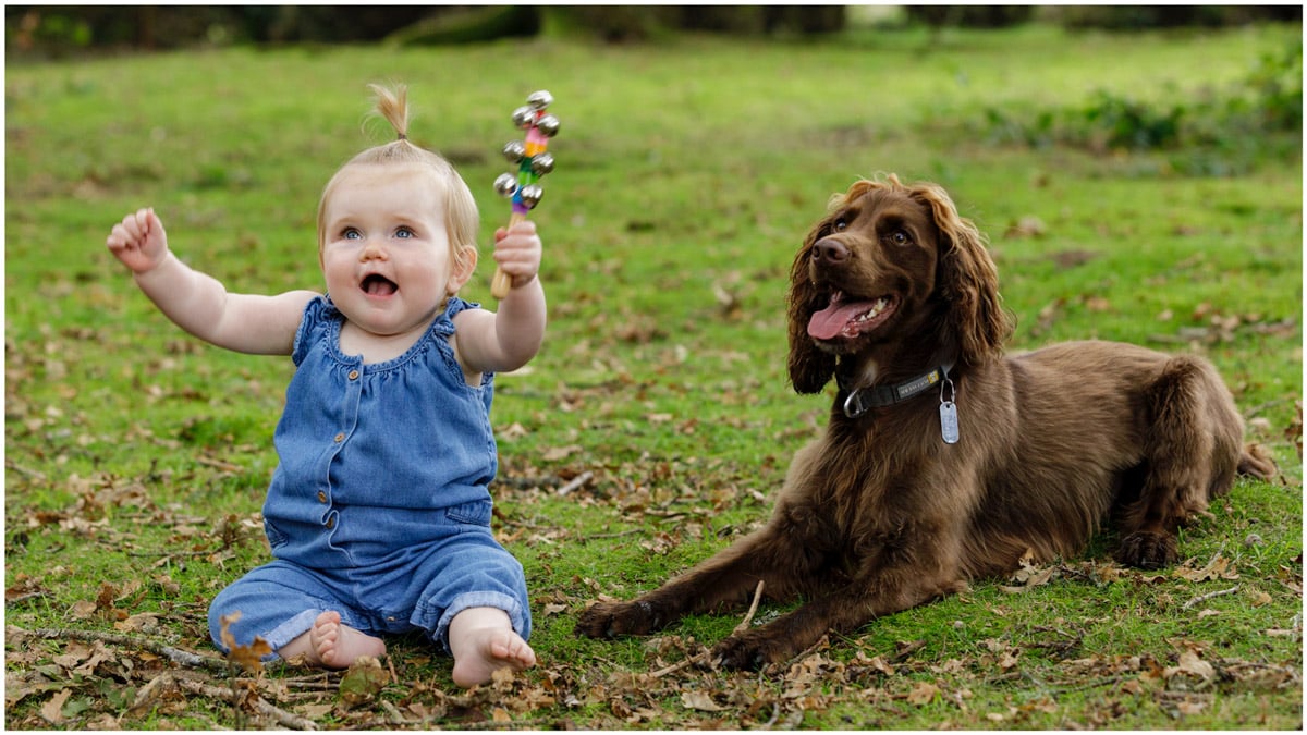 kinver edge family photo shoot dalcie