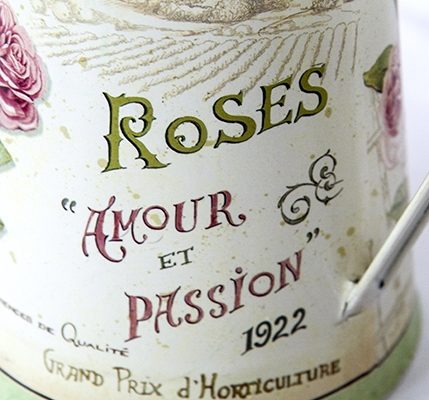 wedding photographers