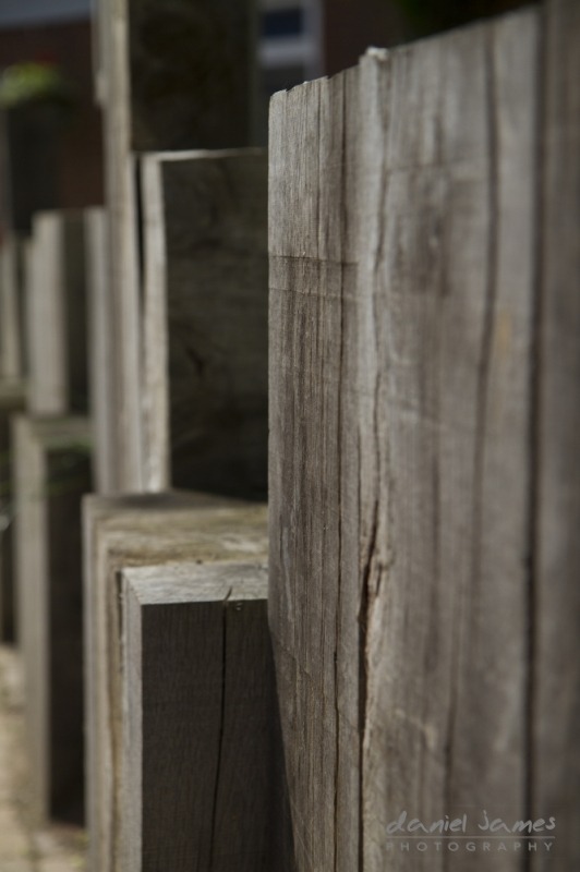 shallow depth of field