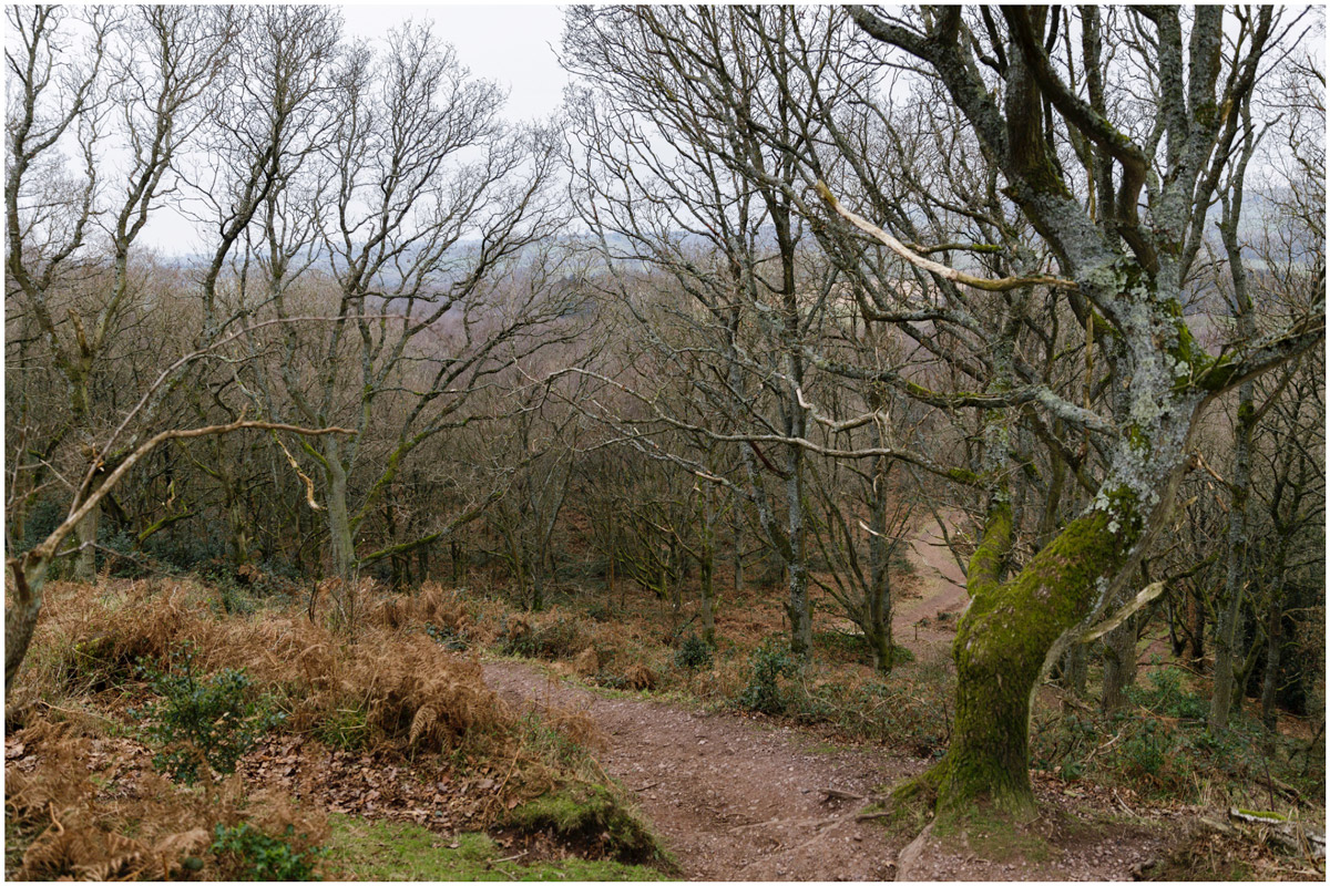 kinver edge photo walk