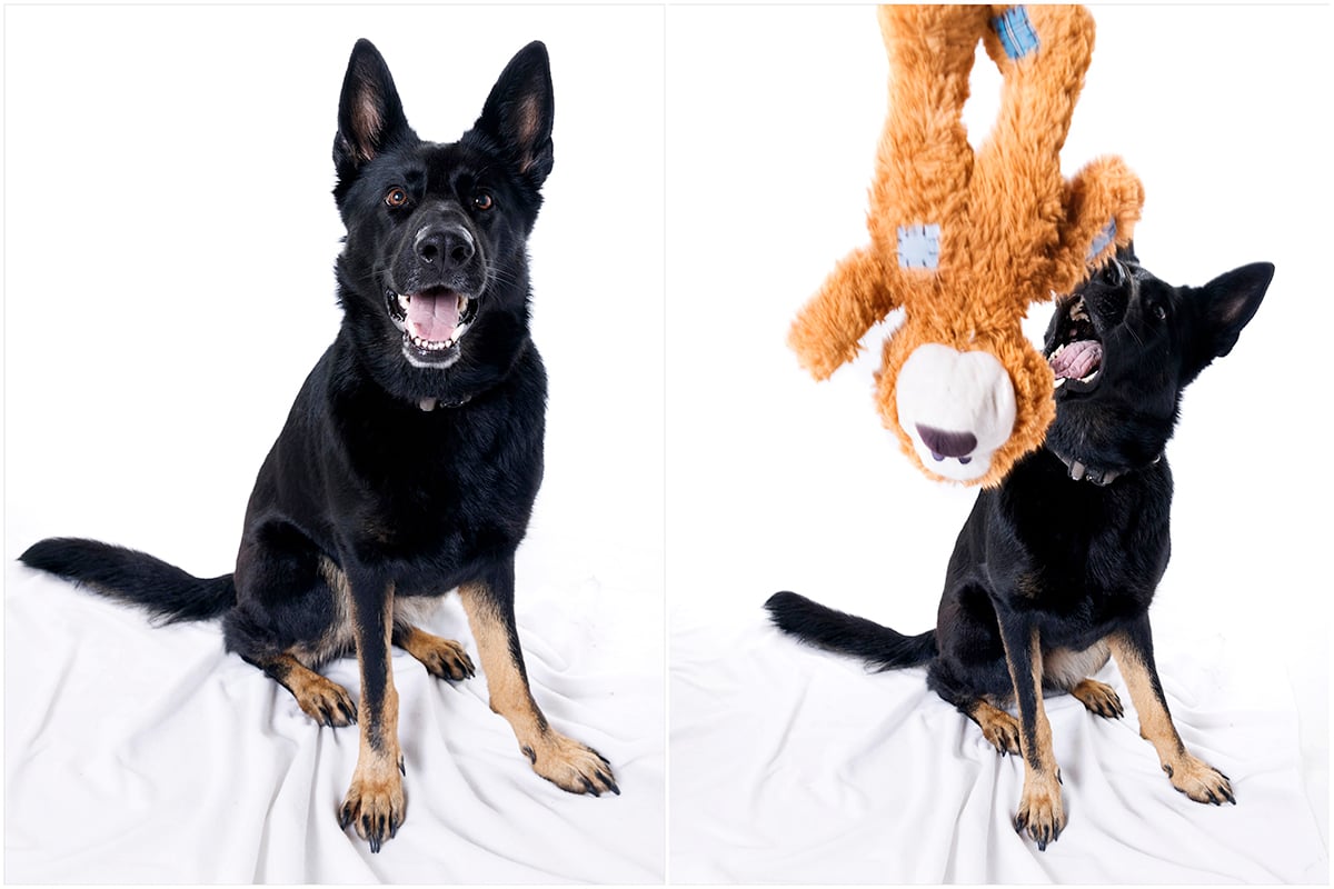 pre wedding photo shoot hannah jason