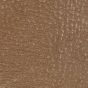 CAMOSCIO 23 DUNE