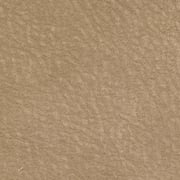 CAMOSCIO 32 CORDA