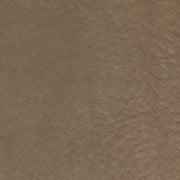 CAMOSCIO 8 FANGO