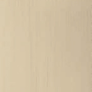 CHAMPAGNE PAINT