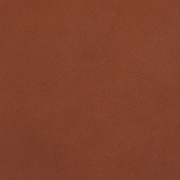 DELUXE 21 TERRA