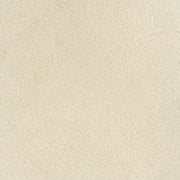 NABUK 2100 GESSO
