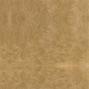 MIRTO GLOSSY