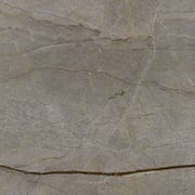 SILVER ROOTS