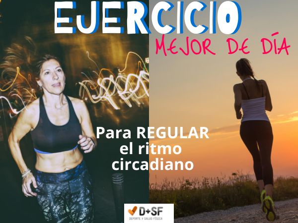mejorar ritmo circadiano con ejercicio Como regular ciclo circadiano con ejercicio