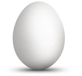 proteína de calidad, el huevo el huevo es una excelente fuente de proteina