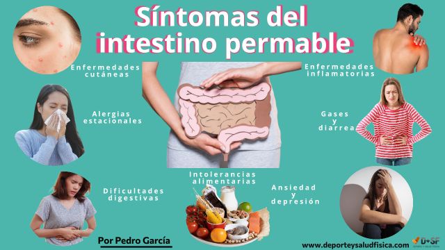 síntomas de intestino permeable qué provoca el intestino permeable