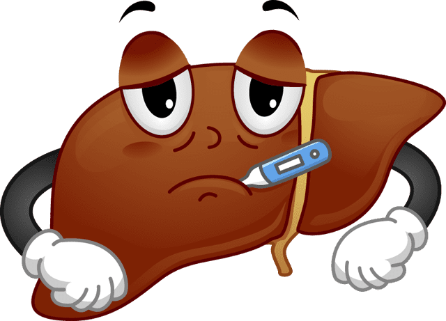 higado inflamado, hígado graso. Así puedes curarlo. vitaminas para limpiar el hígado higado inflamado como bajar inflamacion (fuente imagen imgbin.com