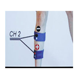 bandas elasticas electroestimulación para gemelos-brazos