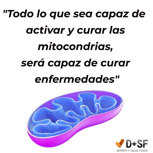 activar las mitocondrias mitocondrias, recuperación y salud