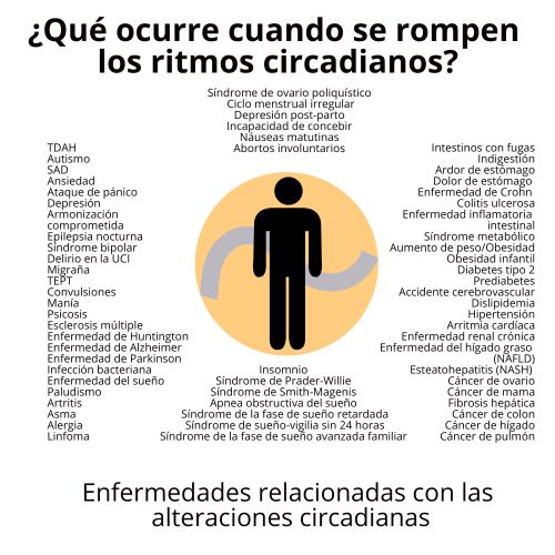 ciclo circadiano y enfermedades relacionadas enfermedades relacionadas con el ritmo circadiano