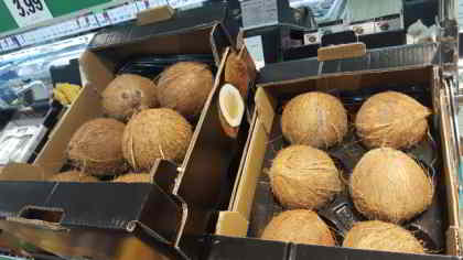 el coco y sus multiples beneficios para la salud