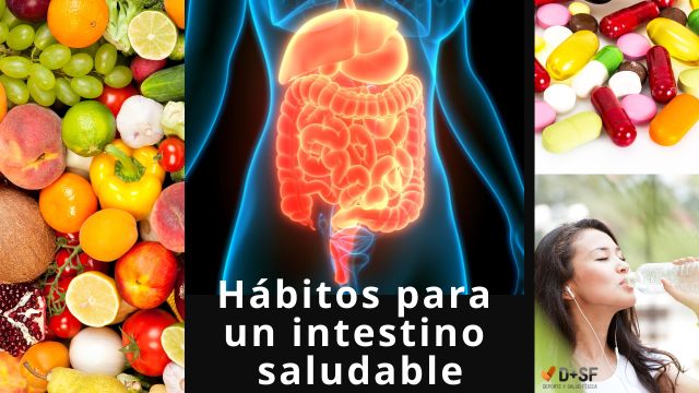 cómo curar el intestino permeable Alimentos para intestino permeable