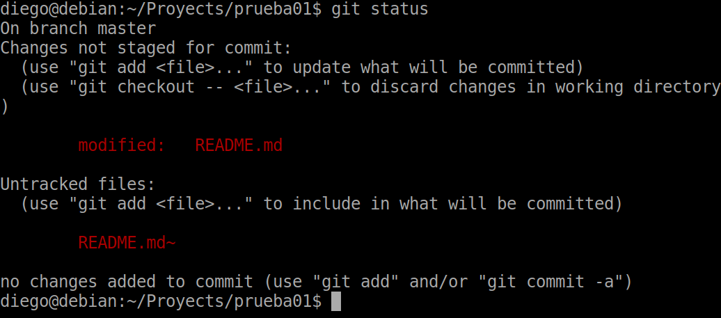 08 git status with changed files