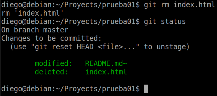 17 git status after removal via git