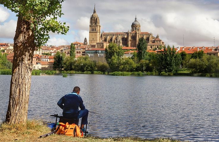 Restaurantes en Salamanca: estas son las últimas incorporaciones a la guía 6 mejores rutas Salamanca