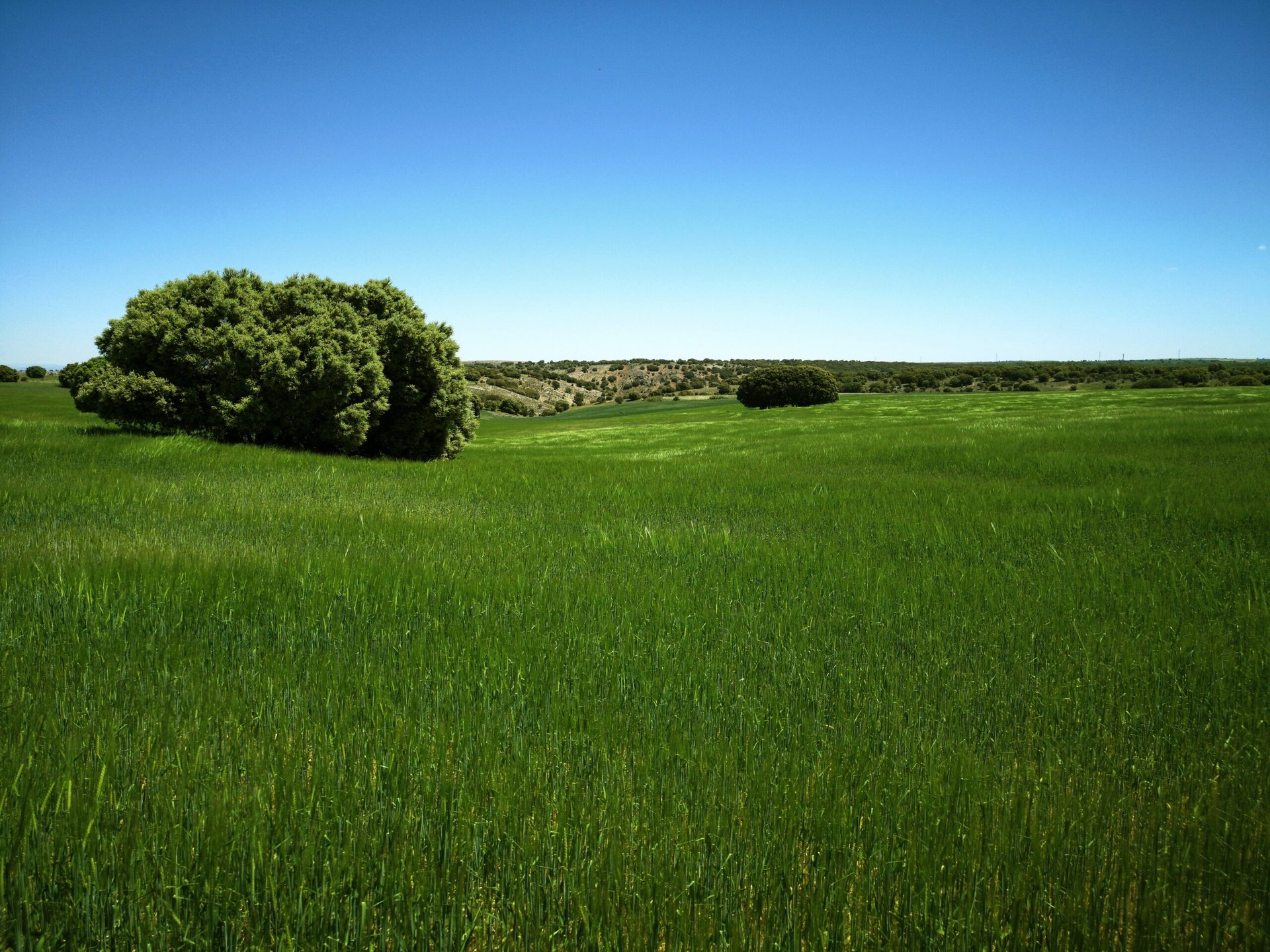Medinaceli, uno de los pueblos más bonitos de Soria 1 alan angelats 8QSrVQlJVGI unsplash scaled