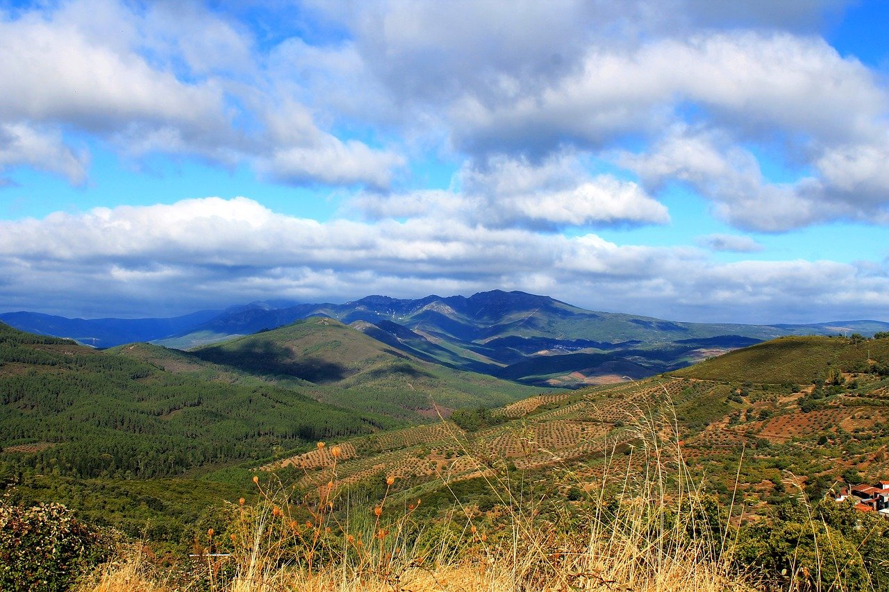 Qué ver en Ledesma, un pueblo encantador en la provincia de Salamanca 1 Ledesma en Salamanca