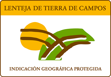 Lenteja de Tierra de Campos: descubriendo la IGP de Castilla y León 1 lenteja de tierra de campos IGP