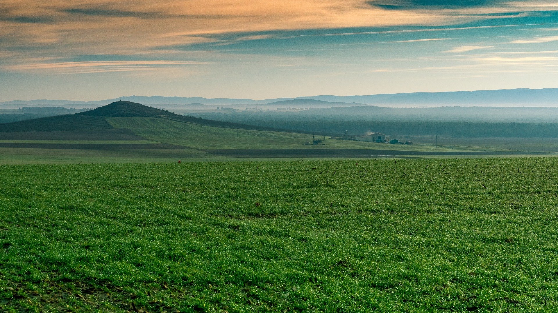 Botillo de El Bierzo, un producto tradicional de la gastronomía leonesa 1 field 4759852 1920