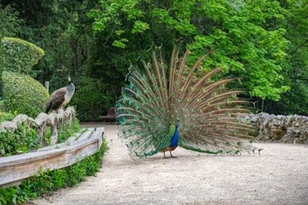 Campo Grande: el mayor parque de Valladolid 1 Campo Grande Valladolid