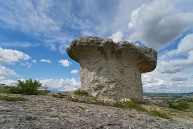 Conoce la ruta por el Monumento Natural Las Tuerces 1 Las tuerces